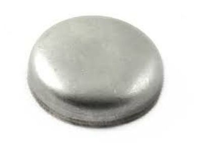 Chevy 94033681 PLUG,CYL HEAD(PART OF 1)(OUTSIDE DIAMETER=20)(0.253)