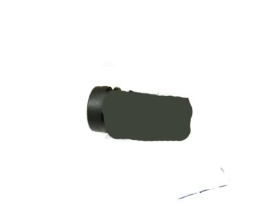 GM 25796933 Switch, Rear Compartment Lid Release Or Ajar 25796933 GM Switch, Rear Compartment Lid Release Or Ajar Product Photo 1 of 2