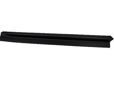 Chevy Equinox Door Moldings - 25824825