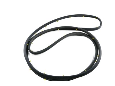 Chevy Equinox Weather Strip - 23282071