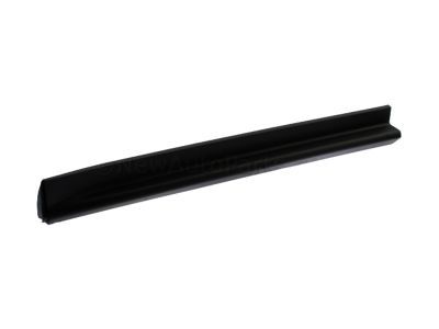 Chevy Equinox Door Moldings - 25824824