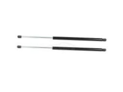 GMC Lift Support - 10389052