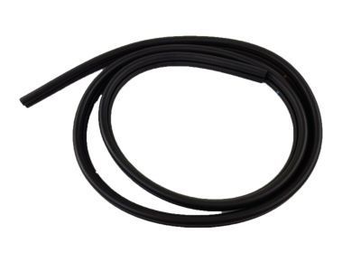 Chevy Classic Weather Strip - 22623348