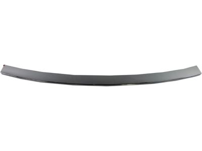 GM 25889003 Step Pad, Rear Lower 25889003 GM Step Pad, Rear Lower Product Photo 1 of 2