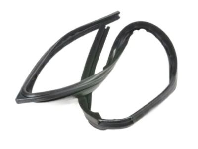 Pontiac Weather Strip - 10294036