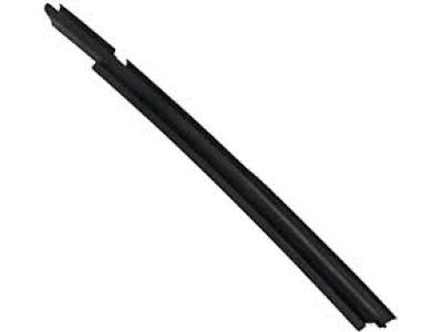 Buick 10338840 Rub Strip