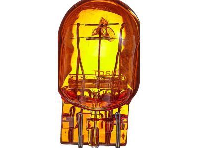 Chevy Trailblazer Headlight Bulb - 13579188