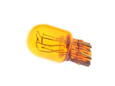 Chevy Trailblazer Headlight Bulb - 13579188