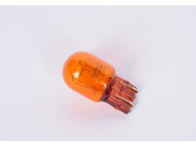 Chevy Trailblazer Headlight Bulb - 13579188