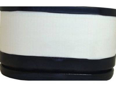 GMC Air Filter - 15102546