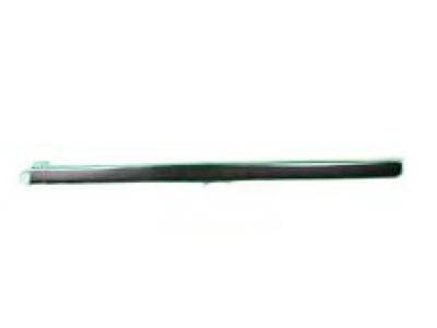 GMC Door Moldings - 19259495