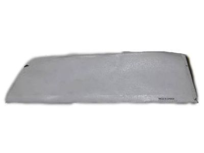 GM 92232022 Protector 92232022 GM Protector Product Photo 1 of 1
