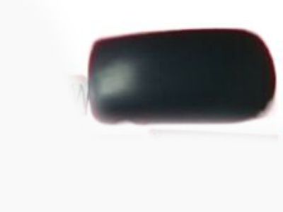 Chevy 10345031 Compartment Door