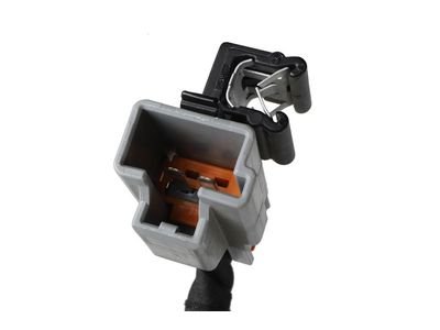 22776298 GM Harness, Body Wiring, Passenger Side Product Photo 8 of 8