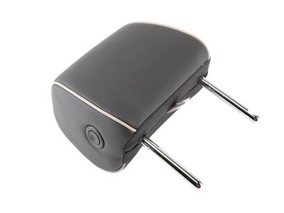 GM 85550666 Restraint, Front Seat Head Restraint, Black 85550666 GM Restraint, Front Seat Head Restraint, Black Product Photo 1 of 2