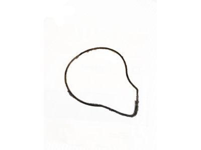 Buick Verano Water Pump Gasket - 24446365