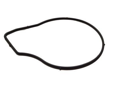 Buick Verano Water Pump Gasket - 24446365