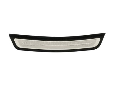 GM 23160095 Scuff Plate, Rear Driver Side 23160095 GM Scuff Plate, Rear Driver Side Product Photo 1 of 1