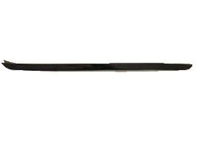 Pontiac Door Moldings - 25862650