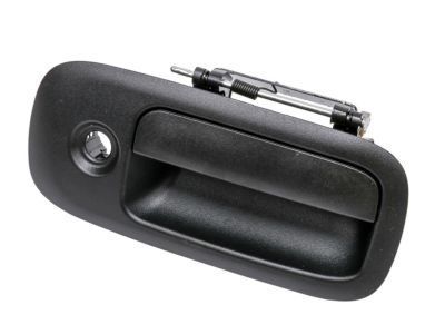 Chevy Express 1500 Exterior Door Handle - 25989399