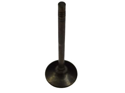 GMC Intake Valve - 55563529