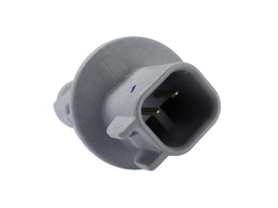 42778647 GM Socket, Capsule/Headlamp/Fog Lamp Product Photo 3 of 4