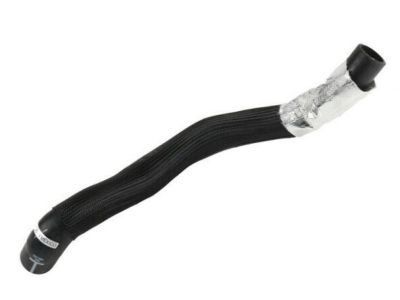 Chevy Impala Radiator Hose - 19258622