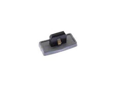 Chevy 11609445 Rear Molding Clip