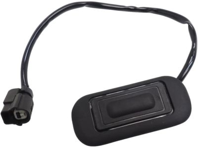 Chevy 22864934 BEZEL,REAR COMPARTMENT LID RELEASE SWITCH
