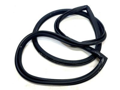 Buick Century Door Seal - 10281491