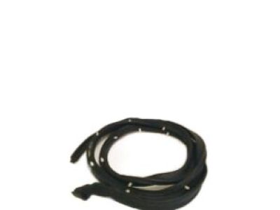 GMC Door Seal - 15623273