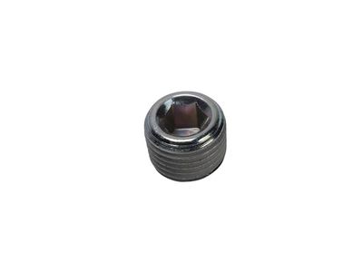 11095513 GM Plug, Cylinder Head Valve Seat Product Photo 2 of 2
