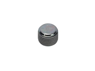GM 11095513 Plug, Cylinder Head Valve Seat 11095513 GM Plug, Cylinder Head Valve Seat Product Photo 1 of 2