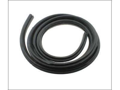 Pontiac G5 Weather Strip - 15824088