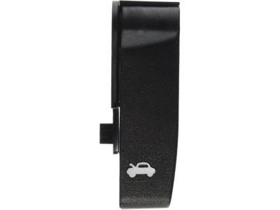 15741109 GM Release Handle Product Photo 2 of 4