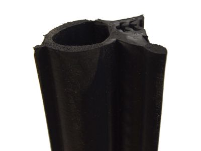 Chevy Impala Weather Strip - 10250195