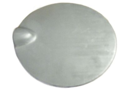 Chevy 10064753 Fuel Door