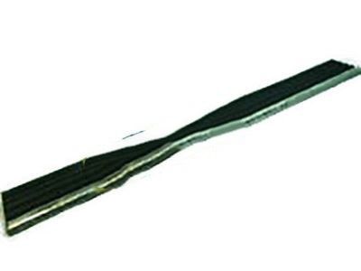 Buick Door Moldings - 25603114