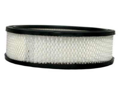 Pontiac Air Filter - 25040929