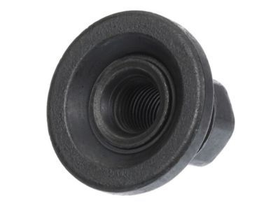 GMC Lug Nuts - 9591924