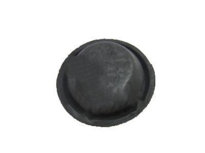 Chevy Aveo5 Body Mount Hole Plug - 94535659