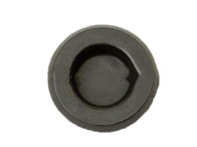 Chevy Aveo5 Body Mount Hole Plug - 94535659