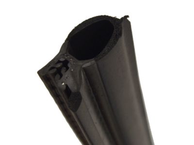 Chevy Impala Weather Strip - 10250195