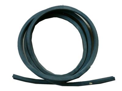 GMC V2500 Door Seal - 15522764