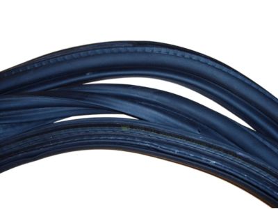 Saturn Weather Strip - 13114514