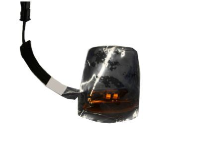 22794642 GM Roof Lamp Assembly, Driver Side Product Photo 3 of 3
