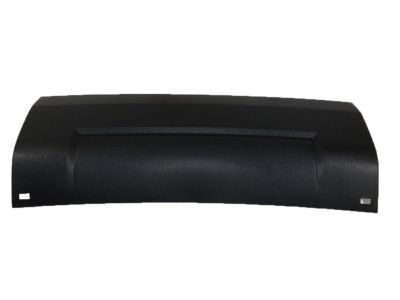 20982430 GM Insert Product Photo 1 of 1