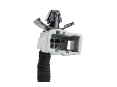 42760843 GM Harness, Body Wiring Product Photo 6 of 9