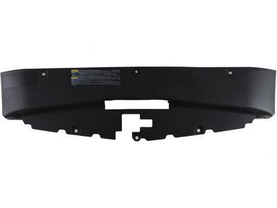 Cadillac 15809934 Sight Shield
