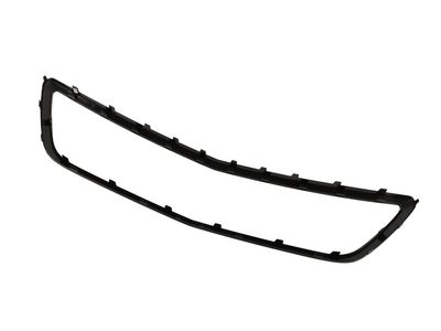 42803279 GM Insert, Radiator Grille Product Photo 2 of 2